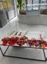 嘉泰物業(yè)|端午節(jié)，揚(yáng)帆日，一“粽”定乾坤！